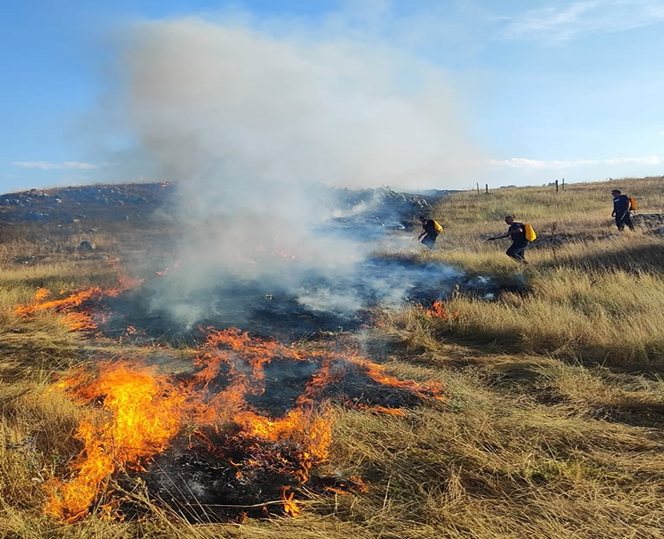 Kopnene snage gase požar trave